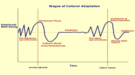 The (Voluptuous) Phases of Cultural Adaptation. Courtesy of www.sjsu.edu